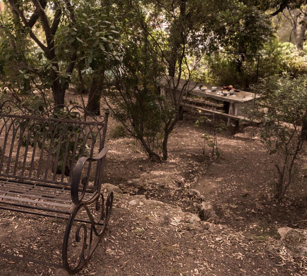 圣帕特雷拉Nel Giardino Dei Pesci Volanti别墅 外观 照片